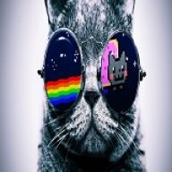 Gato